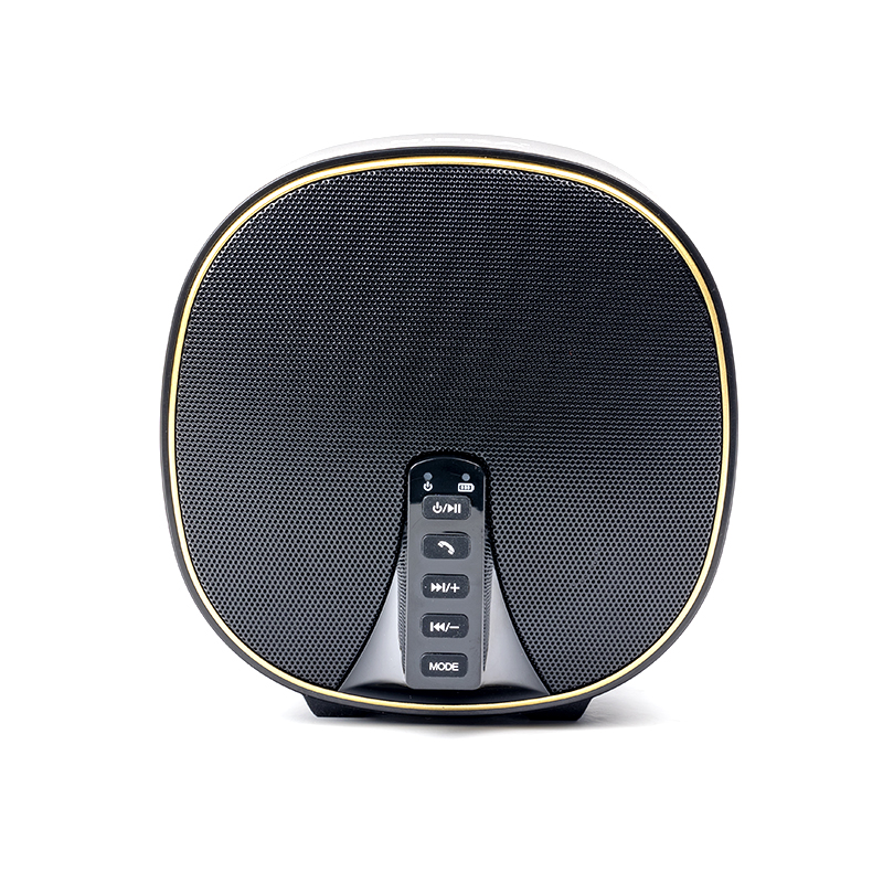 FX-529 bluetooth speaker B46
